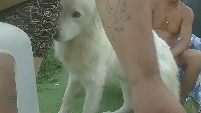 tixyanal70 webcam