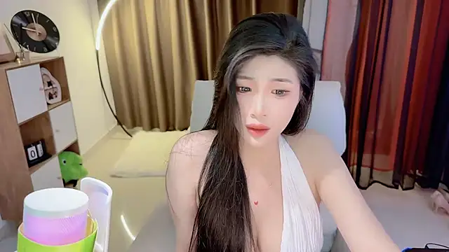 Vaidurya-Yolo webcam