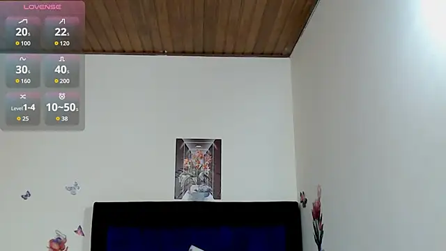 ANDRYXS100 webcam