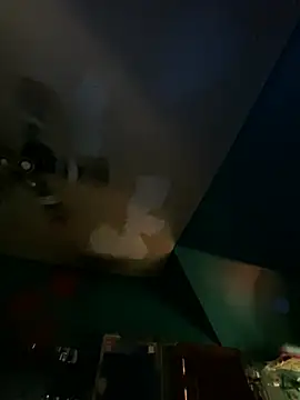 charactrzero webcam