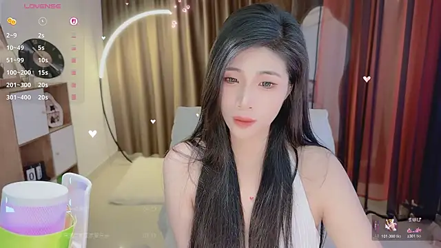 Vaidurya-Yolo webcam