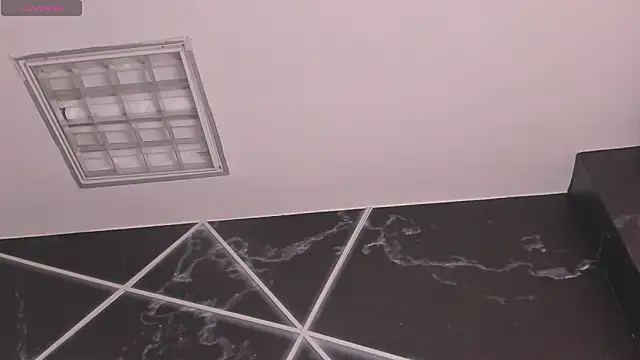 AerumChae webcam