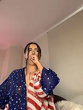 Samispank webcam