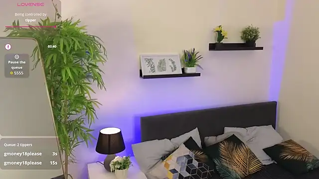 Sue_Sanders webcam