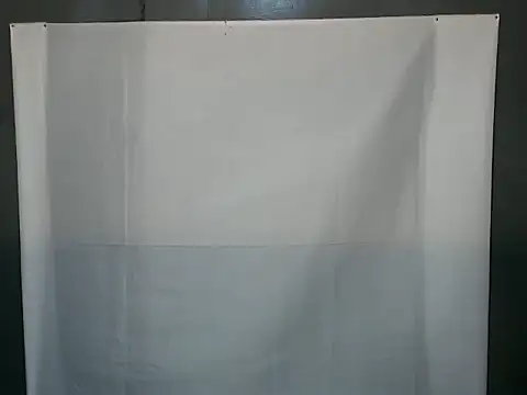 tiaraunniesparks webcam