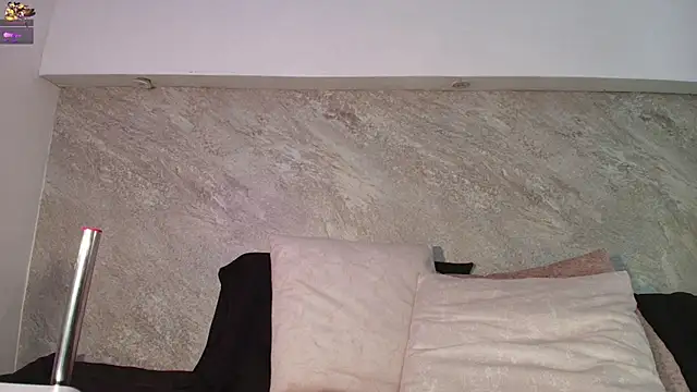 Dixie_grey1 webcam