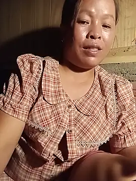 Ip34 webcam
