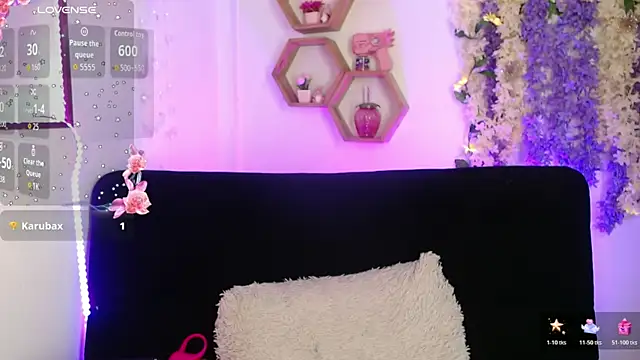 AuroraHans1 webcam