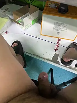 ccmv-01 webcam