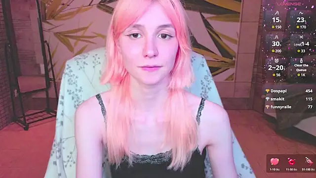 fleximona webcam