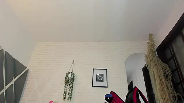Arte_misa_ webcam