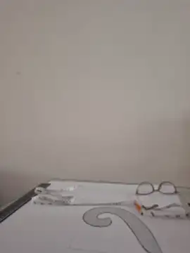 PaulaOrtiz_1 webcam