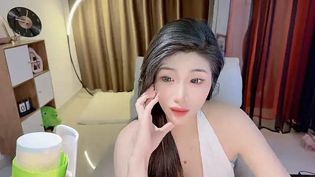 Vaidurya-Yolo webcam