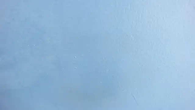 Charlie___Musk webcam