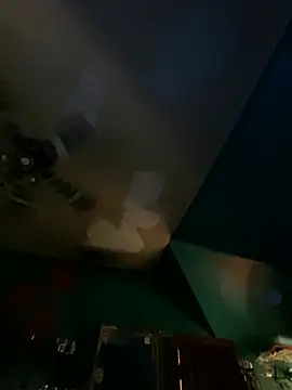 charactrzero webcam