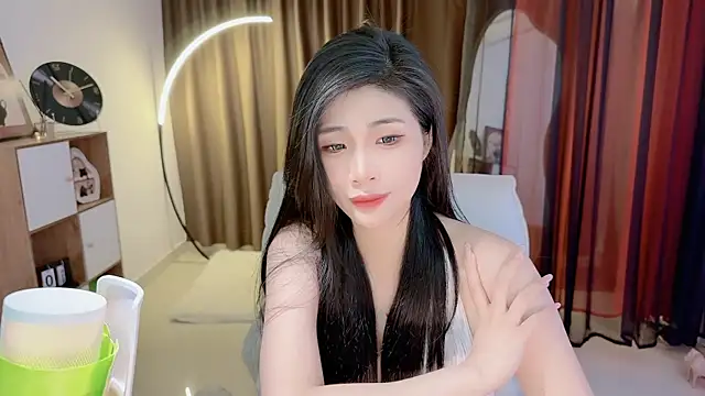 Vaidurya-Yolo webcam