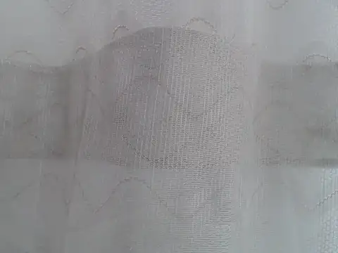 alisterxxx webcam