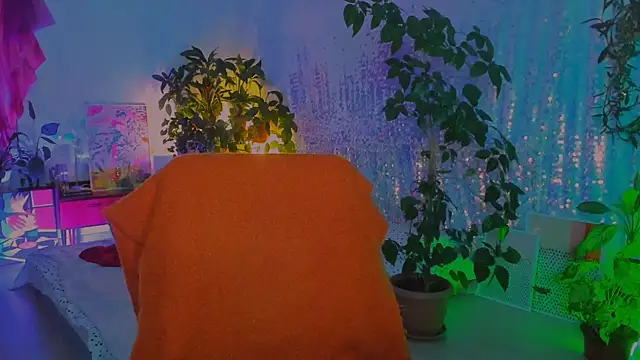 poli__ webcam