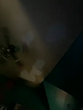 charactrzero webcam