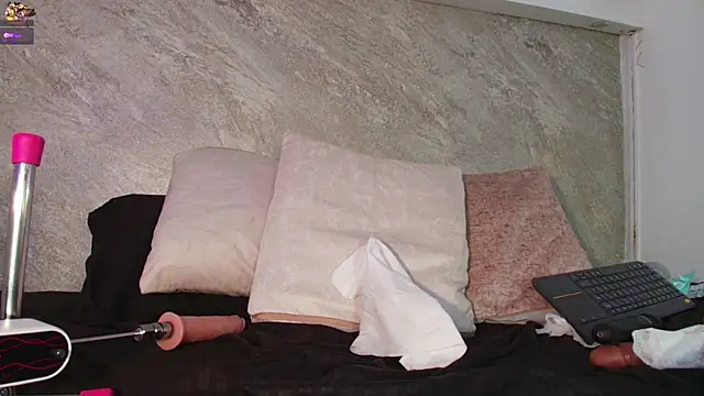 Dixie_grey1 webcam