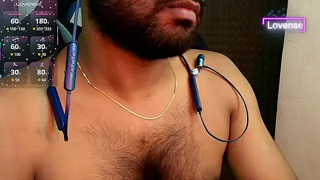 SilverShade3 webcam