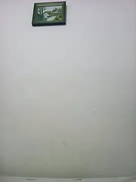 altinya webcam