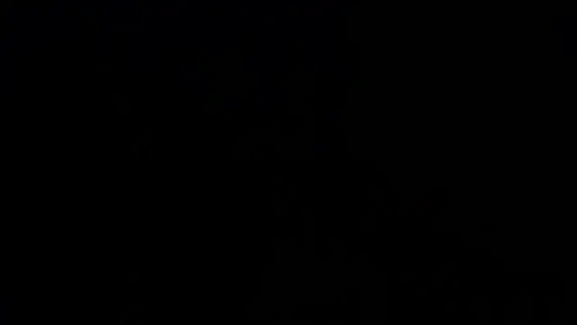 Damian64420 webcam