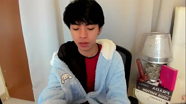 davincihugecock webcam