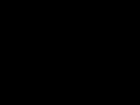 alexcsp webcam