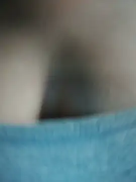 Hiha-nn webcam