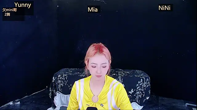 MiNi-U webcam