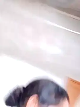 Anitarakkoli webcam