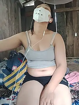 Hiha-nn webcam