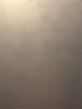 BlueCollarTattoos live sex cam