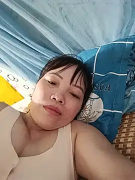 Sana-vn webcam
