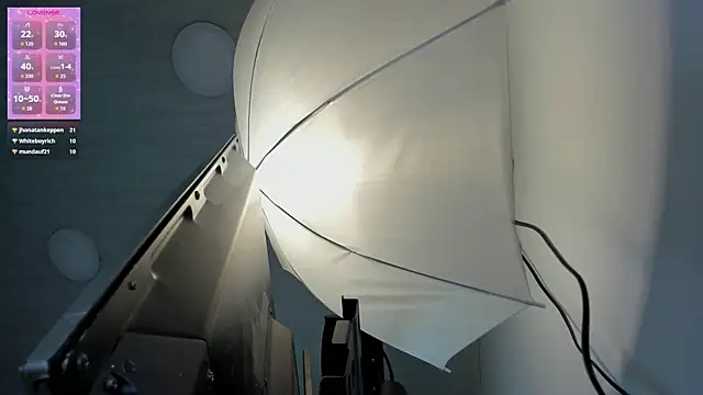 LunaAndDante webcam