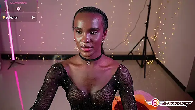 Luanarisque's cam show statistics and live stream