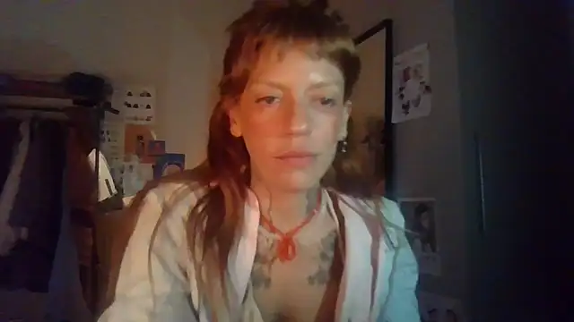 Plsmecha's live stream