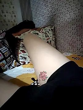-Tara-a webcam