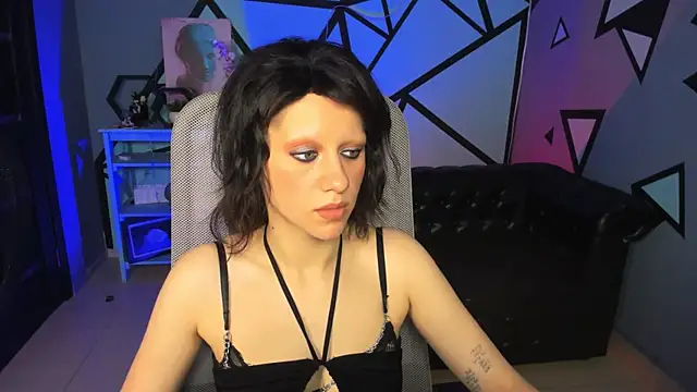 LidaDarknet webcam