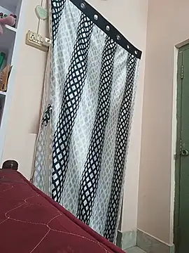 Hansikatelugu webcam