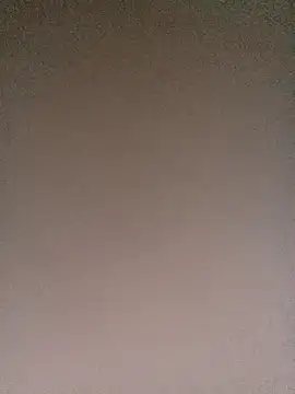 Tina-i webcam