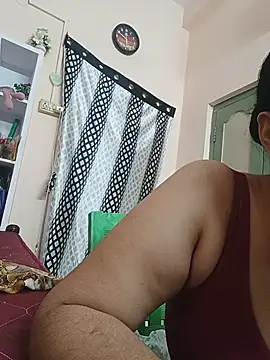 Hansikatelugu webcam