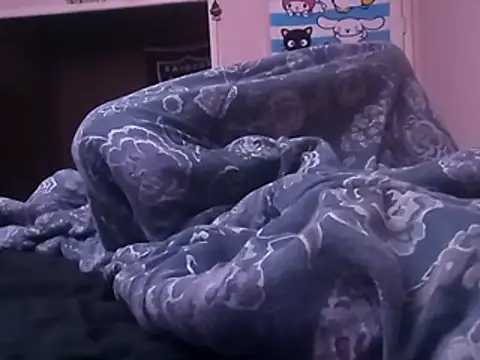 Blkstylion webcam