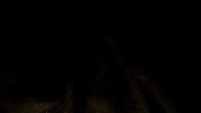 MihaCarther webcam