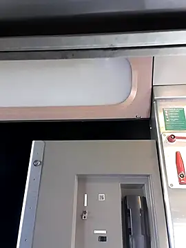panda_06200 webcam