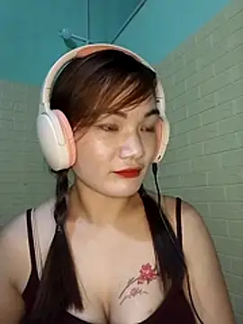 Voiva11 webcam