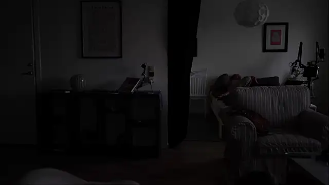 somaticeros webcam