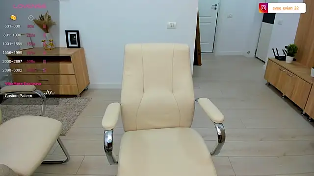 EveEvian webcam