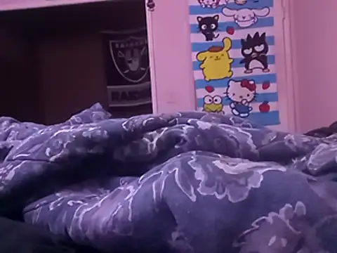 Blkstylion webcam